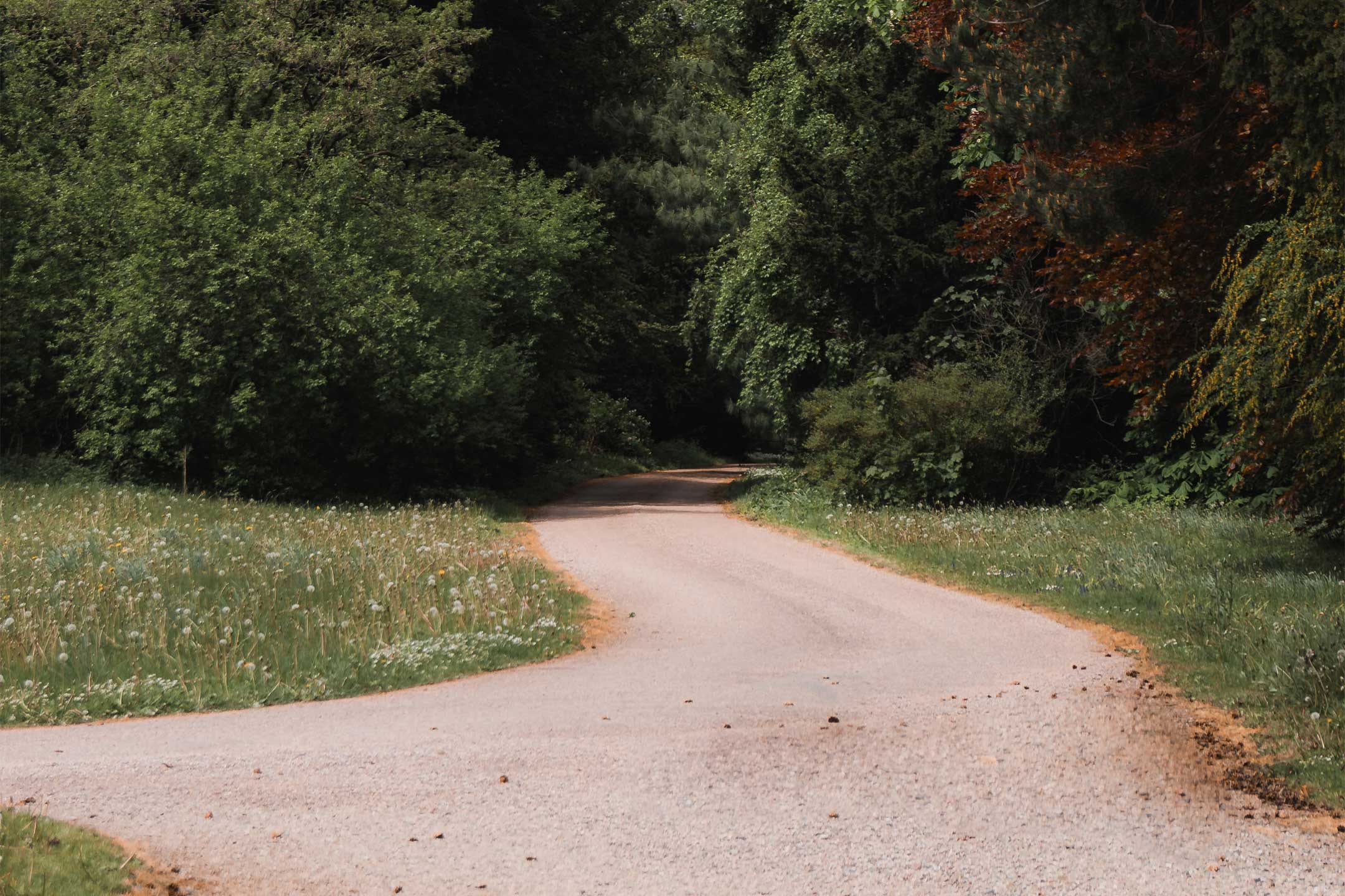 25th April - Gravel Ride to Rye